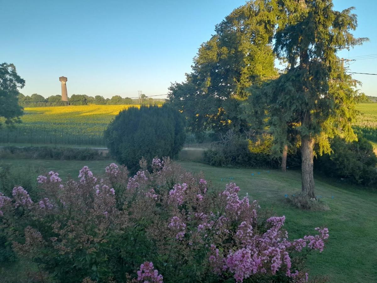 Chateau Ardilleux Bagian luar foto