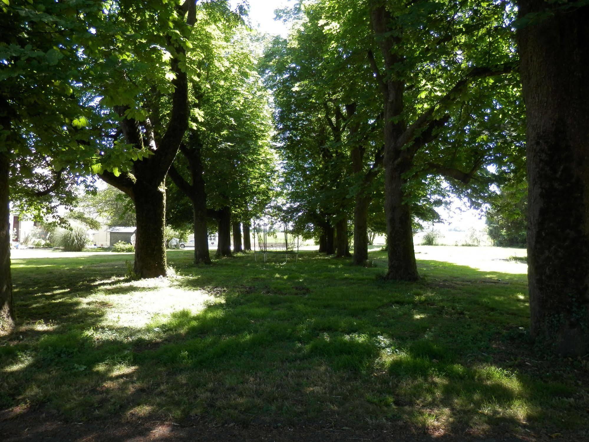Chateau Ardilleux Bagian luar foto